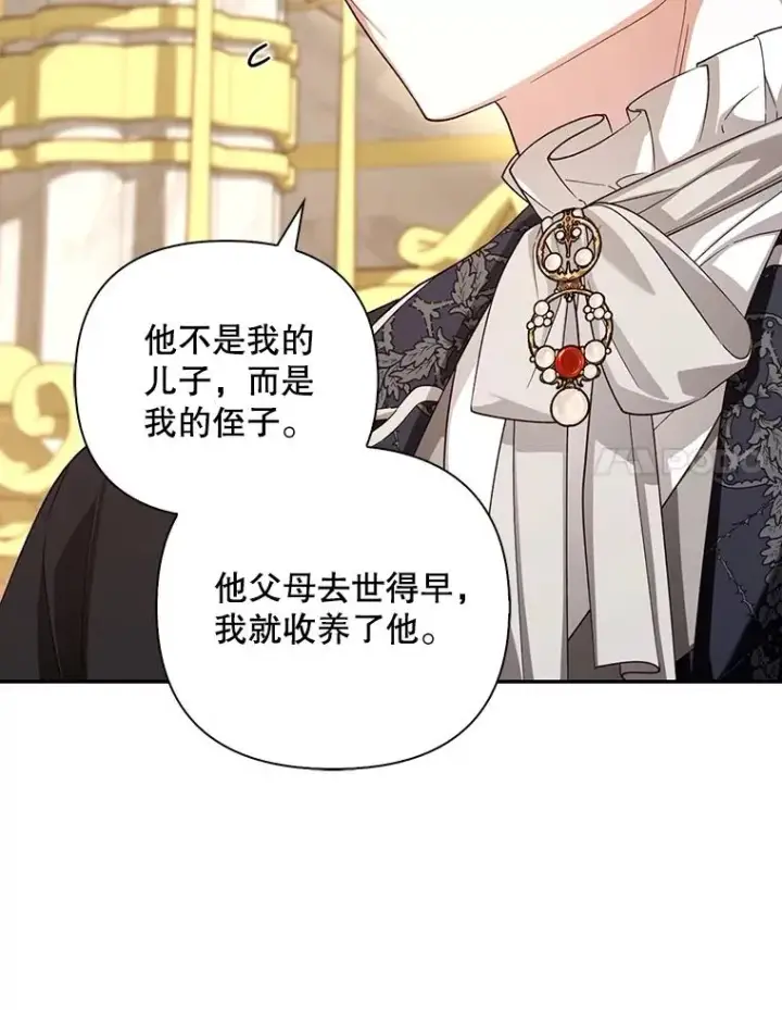 《如何隐藏皇帝的孩子》68.密谋图38