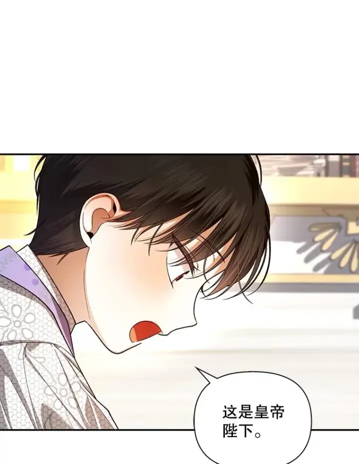 《如何隐藏皇帝的孩子》69.刨根问底图47