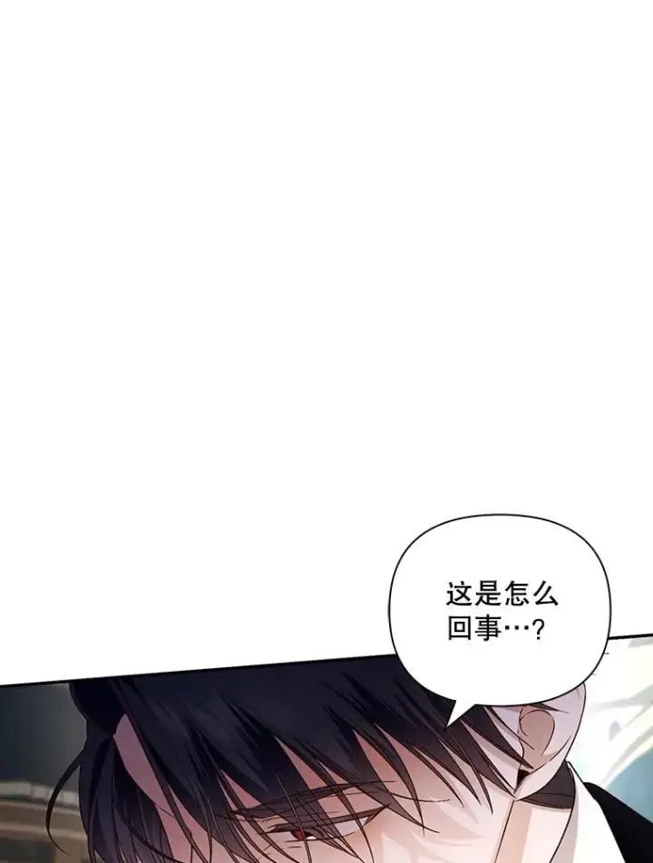 《如何隐藏皇帝的孩子》71.袒露心声图27