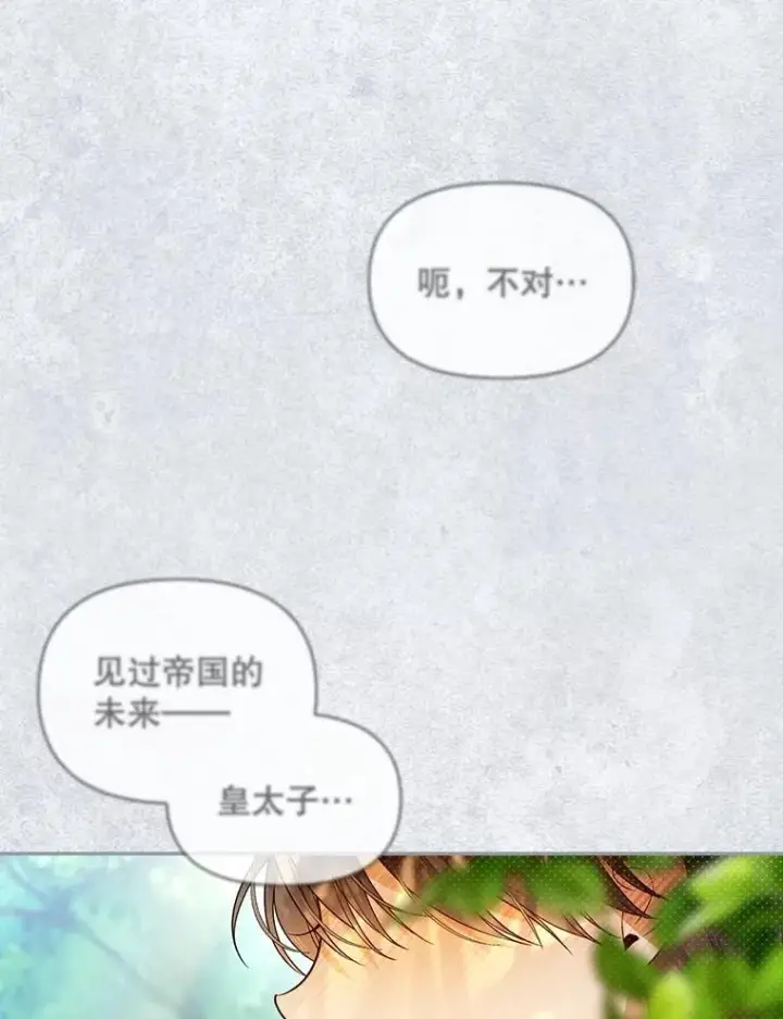 《如何隐藏皇帝的孩子》72.一见钟情图103