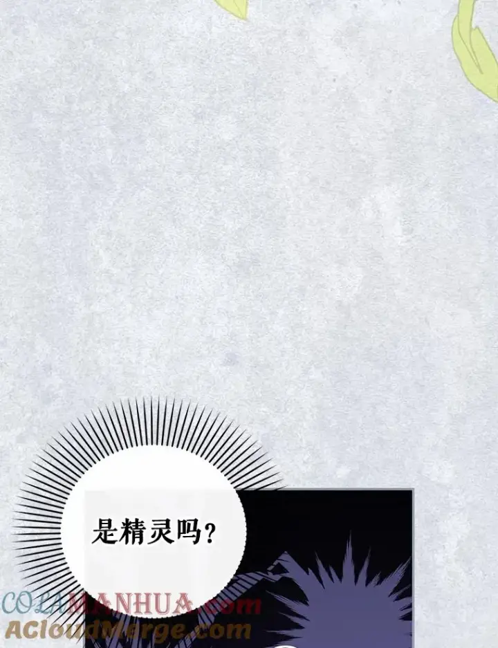 《如何隐藏皇帝的孩子》72.一见钟情图97