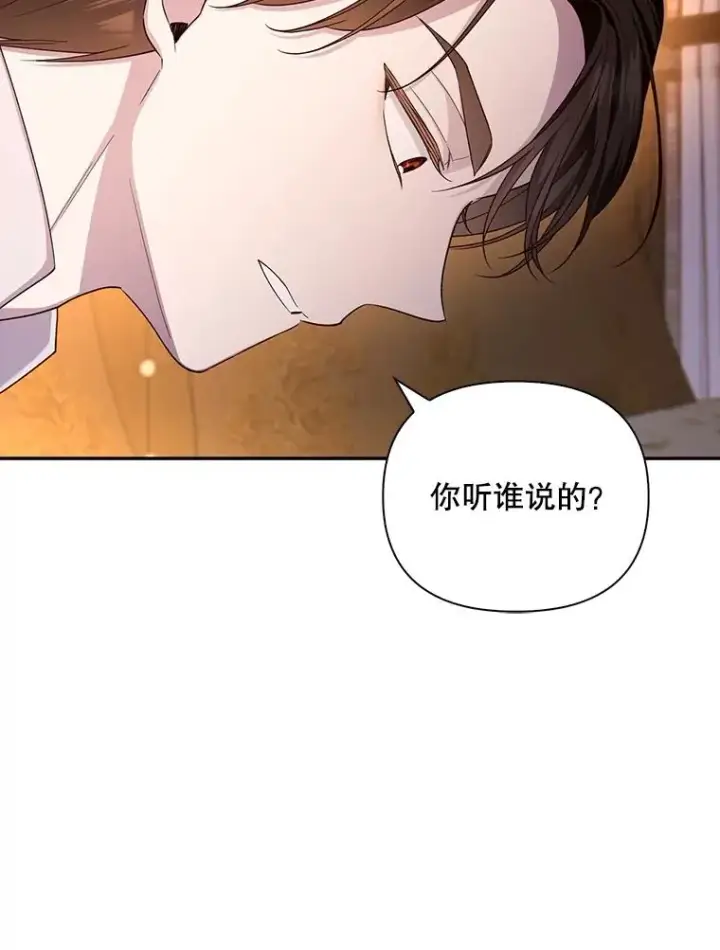 《如何隐藏皇帝的孩子》73.流言蜚语图35
