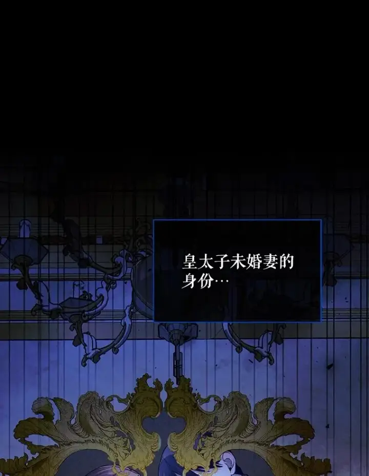 《如何隐藏皇帝的孩子》73.流言蜚语图54