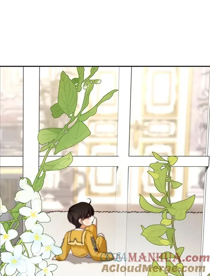 《如何隐藏皇帝的孩子》74.荒唐的请求图89