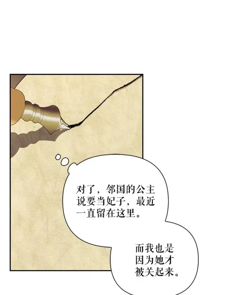 《如何隐藏皇帝的孩子》75.误打误撞图42