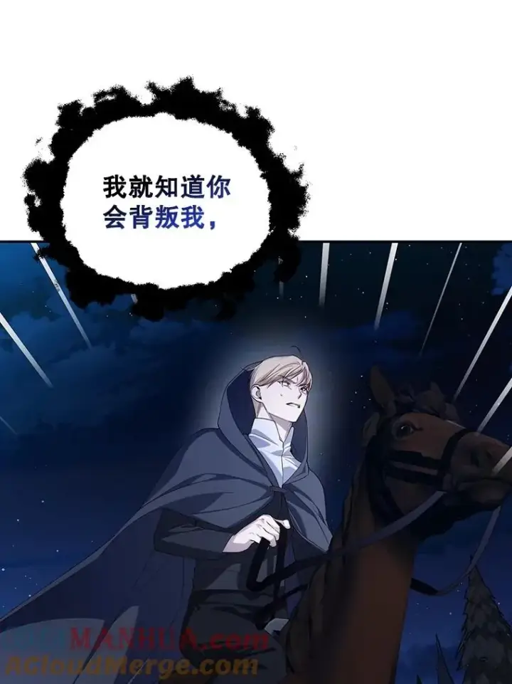 《如何隐藏皇帝的孩子》75.误打误撞图97