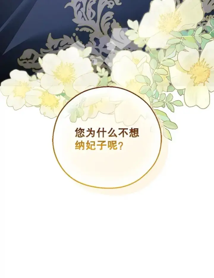 《如何隐藏皇帝的孩子》77.赌注图8