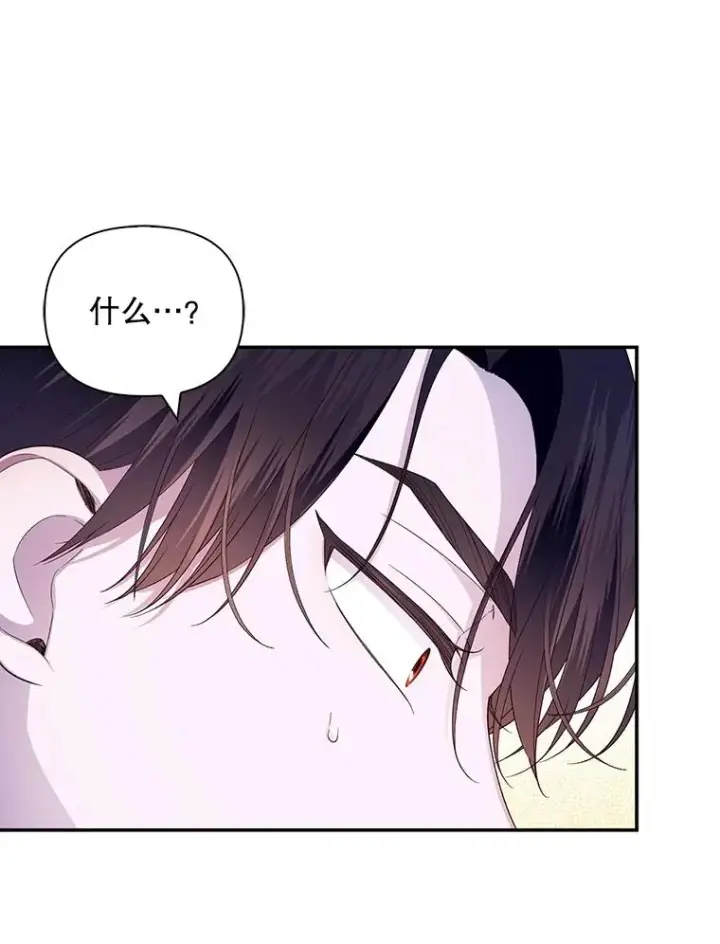 《如何隐藏皇帝的孩子》78.寝前约定图26