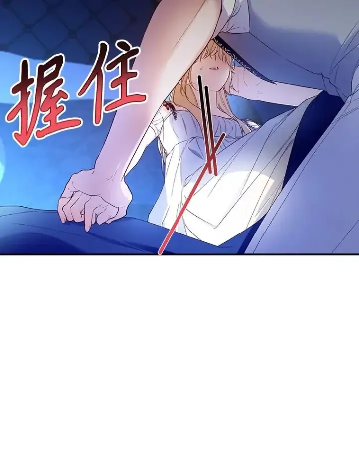 《如何隐藏皇帝的孩子》78.寝前约定图46