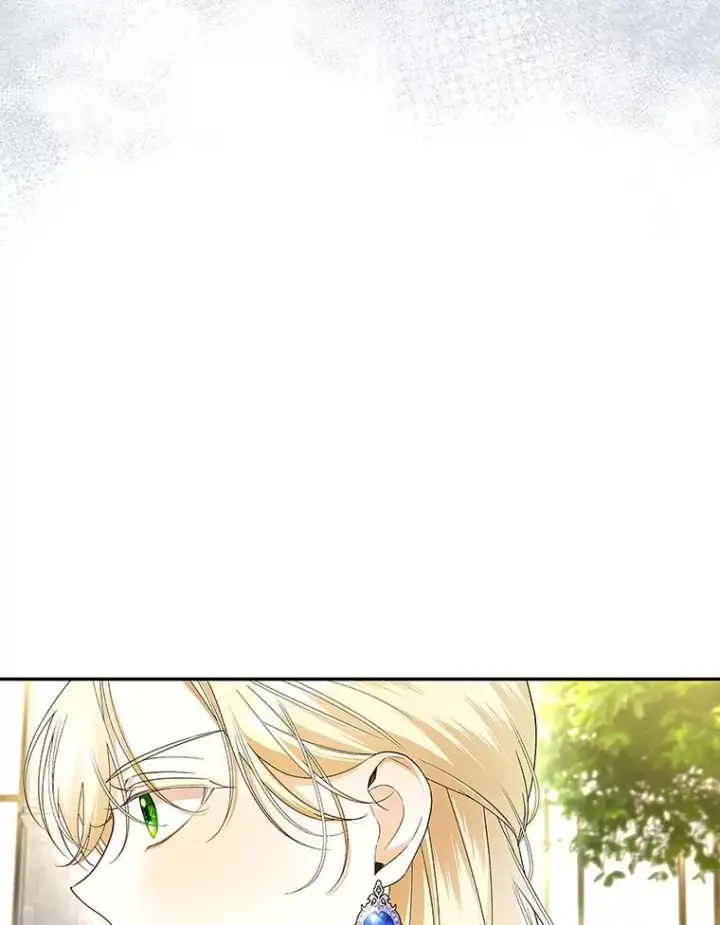 《如何隐藏皇帝的孩子》82.拉拢图27