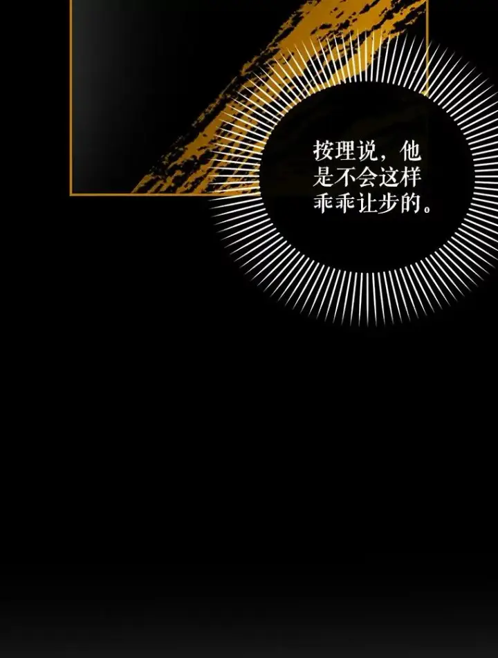 《如何隐藏皇帝的孩子》83.寻找幸福图38