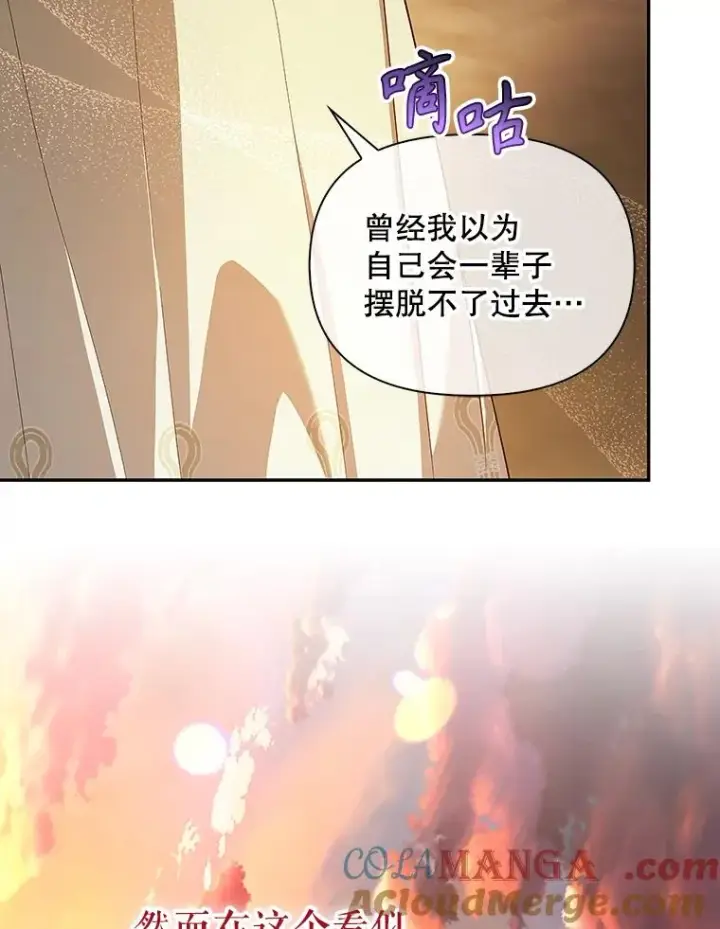 《如何隐藏皇帝的孩子》83.寻找幸福图89