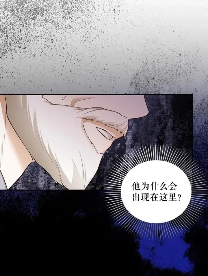 《如何隐藏皇帝的孩子》86.皇帝的异常图10