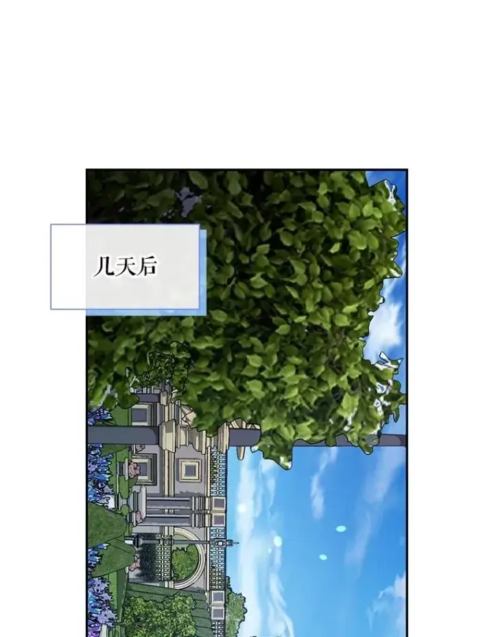 《如何隐藏皇帝的孩子》86.皇帝的异常图54