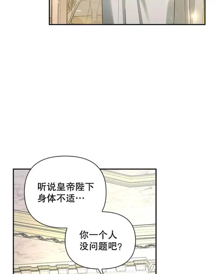 《如何隐藏皇帝的孩子》87.旧友重逢图28