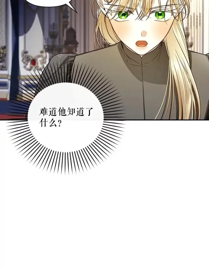 《如何隐藏皇帝的孩子》91.主持大局图28