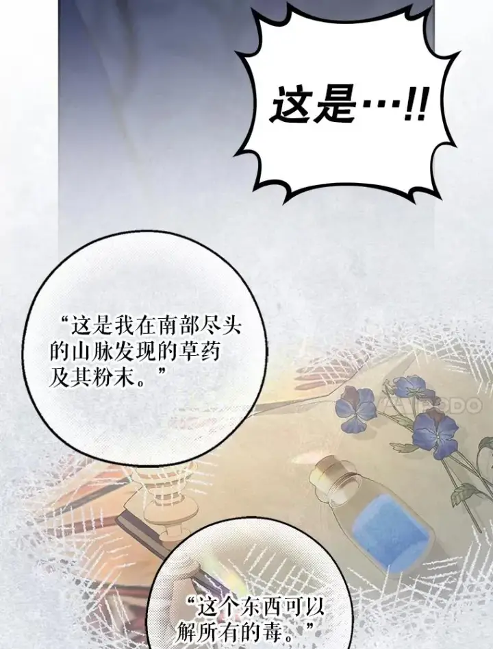 《如何隐藏皇帝的孩子》91.主持大局图66