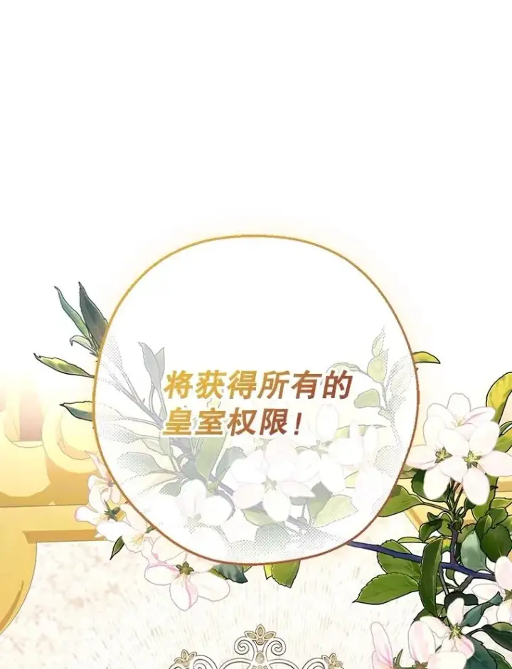 《如何隐藏皇帝的孩子》91.主持大局图98
