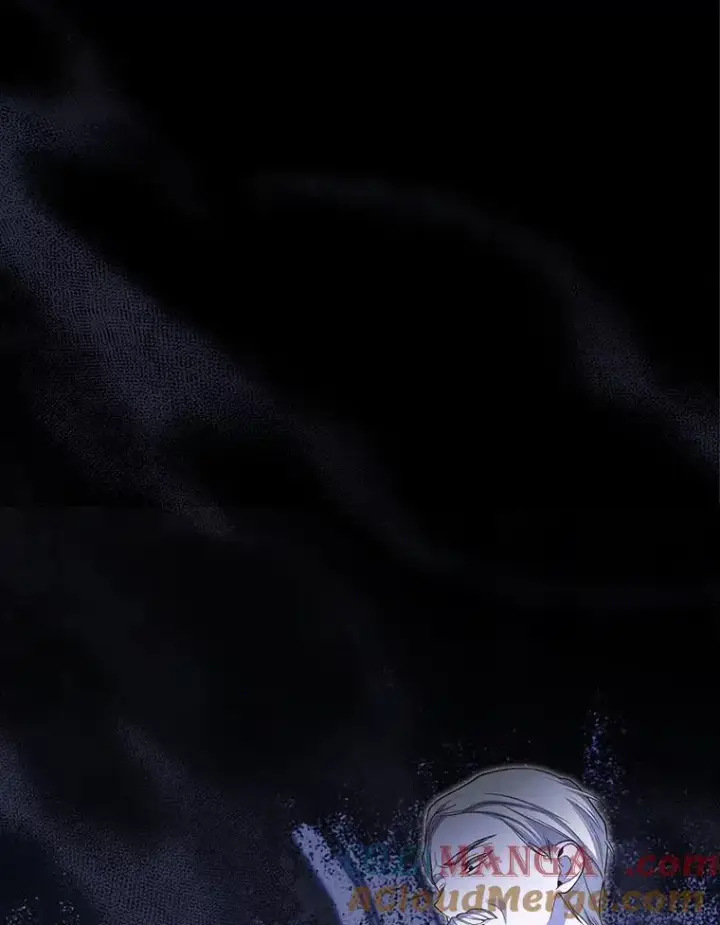 《如何隐藏皇帝的孩子》92.虎父无犬子图101