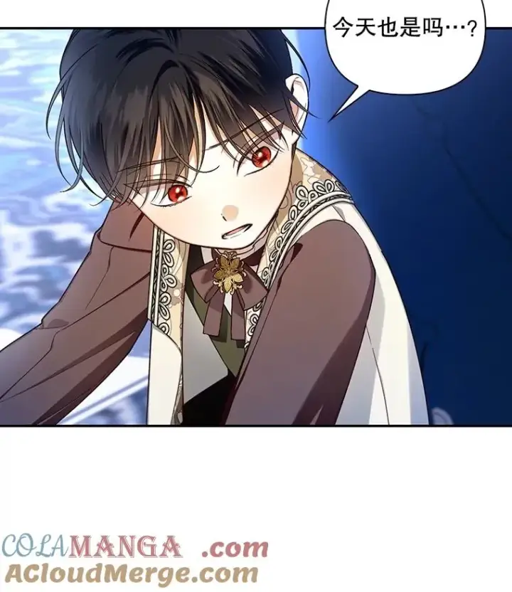《如何隐藏皇帝的孩子》92.虎父无犬子图45