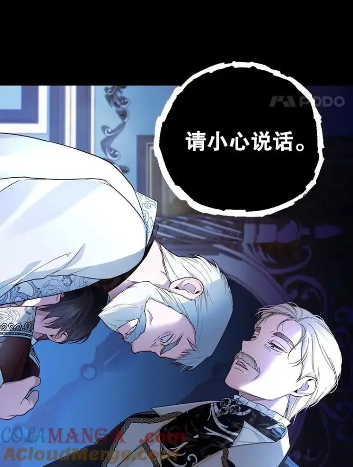 《如何隐藏皇帝的孩子》92.虎父无犬子图61