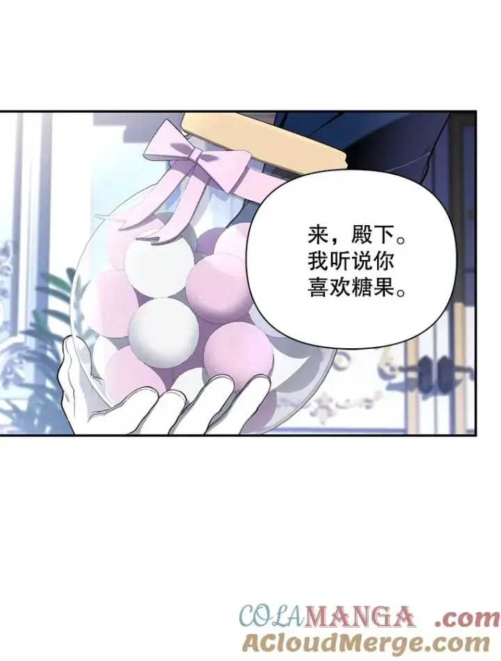 《如何隐藏皇帝的孩子》92.虎父无犬子图69