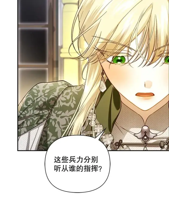 《如何隐藏皇帝的孩子》92.虎父无犬子图8