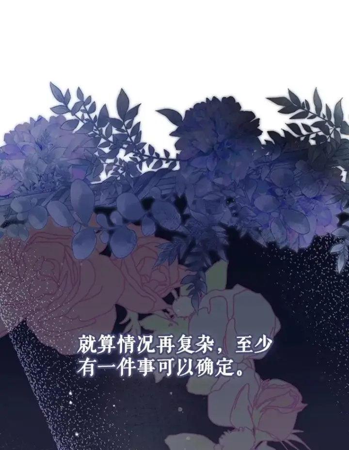《如何隐藏皇帝的孩子》95.母亲的日记图34