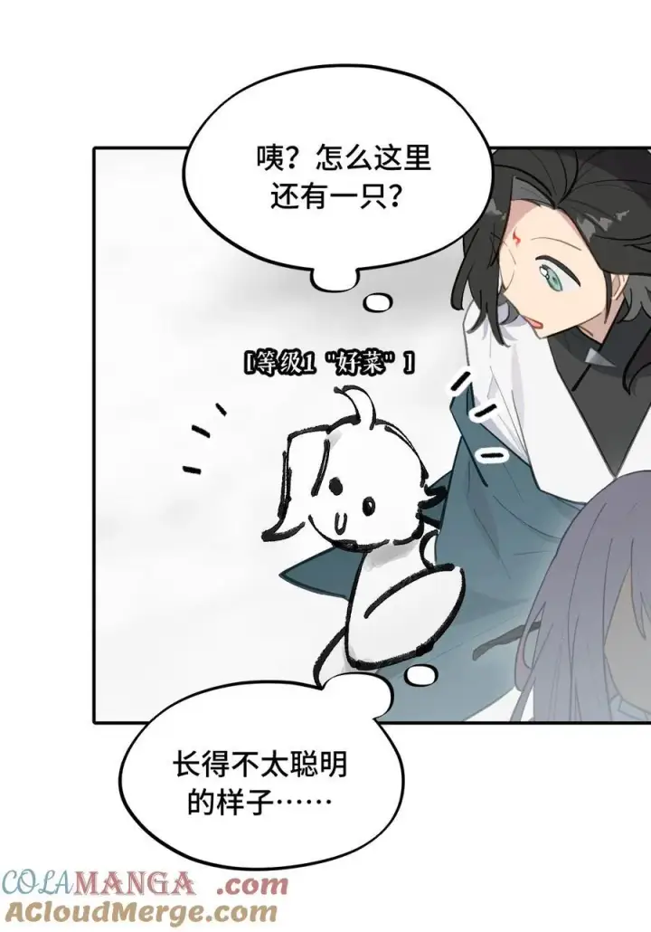 《杀死男主然后成为女魔头》048 “俺寻思能飞”图13