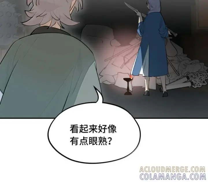 《杀死男主然后成为女魔头》096 唯独它我绝不可能认错图39
