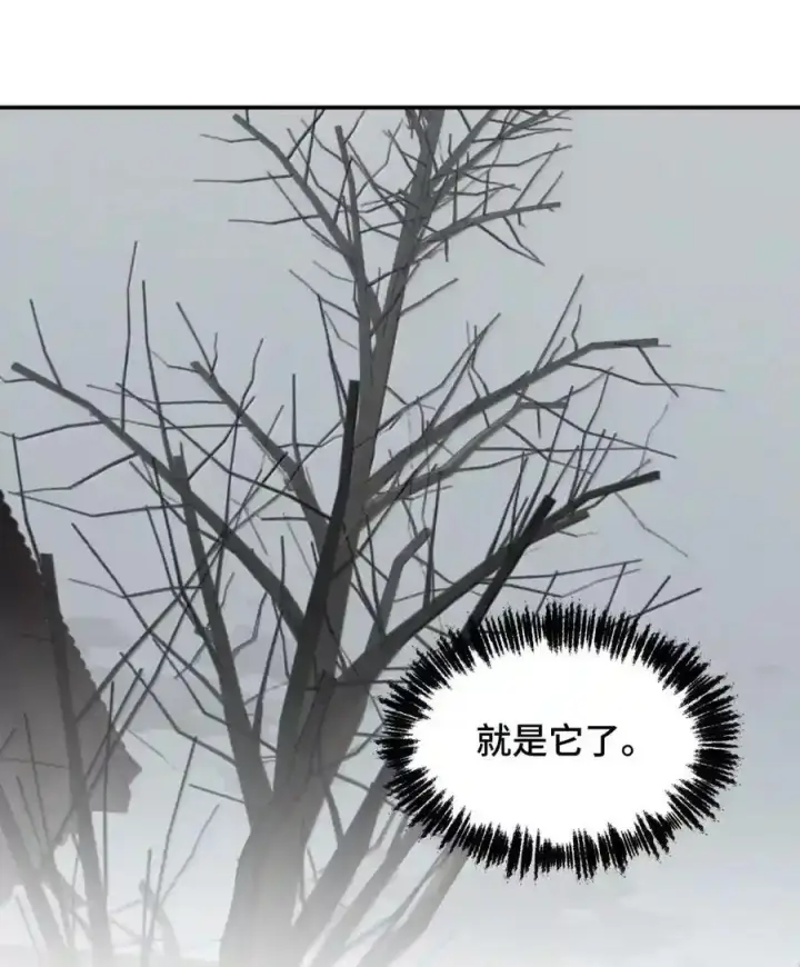 《杀死男主然后成为女魔头》100 回忆是残缺的牢笼图23