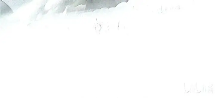 《杀死男主然后成为女魔头》105 困兽图40