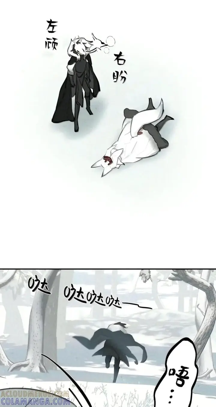 《杀死男主然后成为女魔头》107 白狐vs黑鸦(上)图37