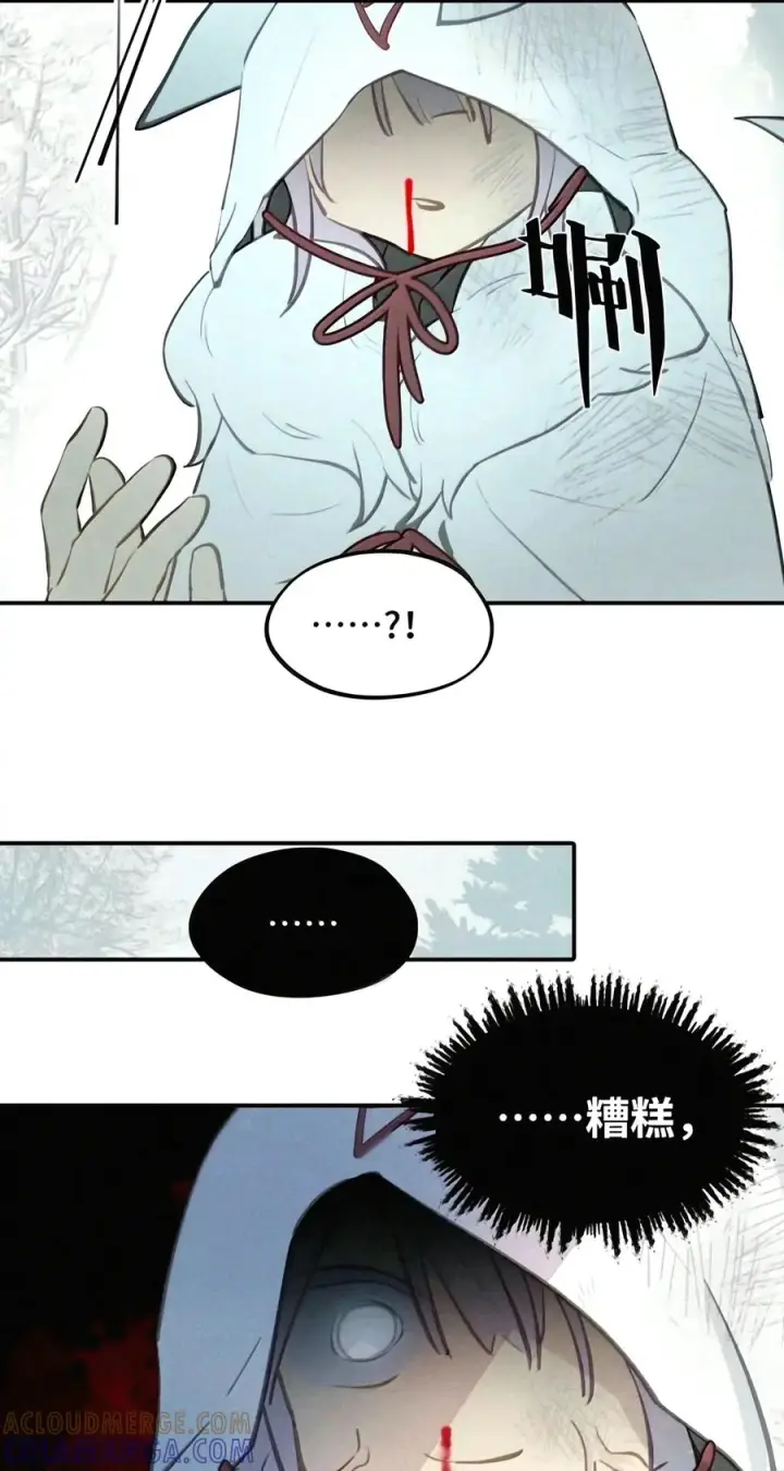 《杀死男主然后成为女魔头》107 白狐vs黑鸦(上)图39