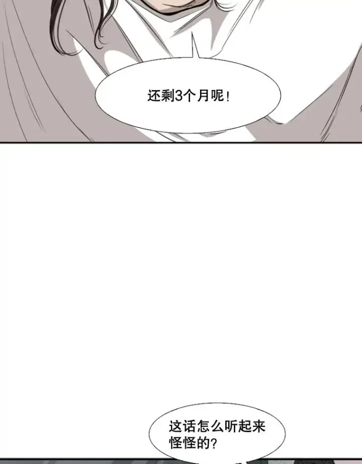 《鲨鱼》99.久违的休息图81