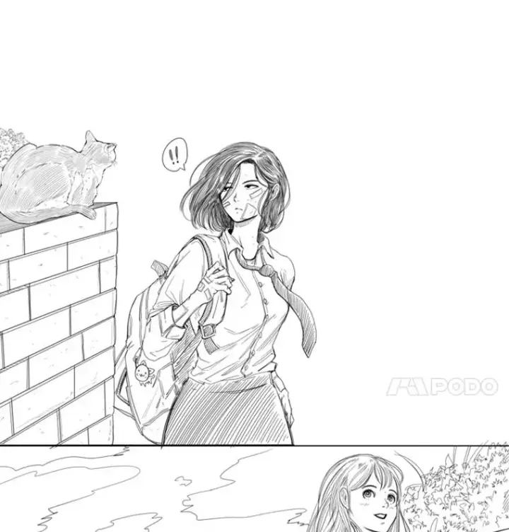 《鲨鱼》102.入秋图8