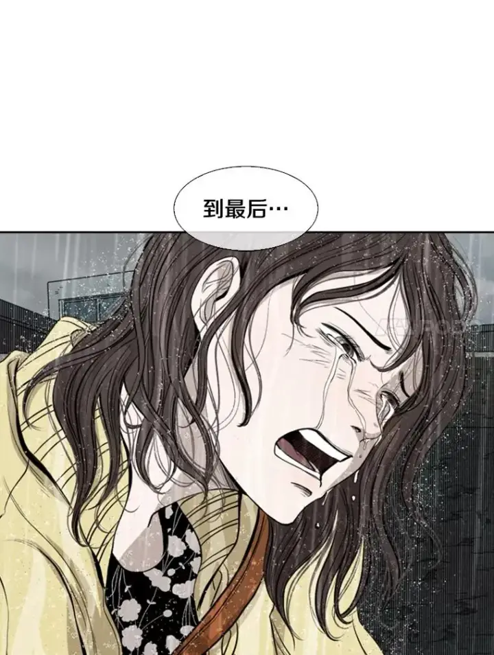 《鲨鱼》109.绝望图138