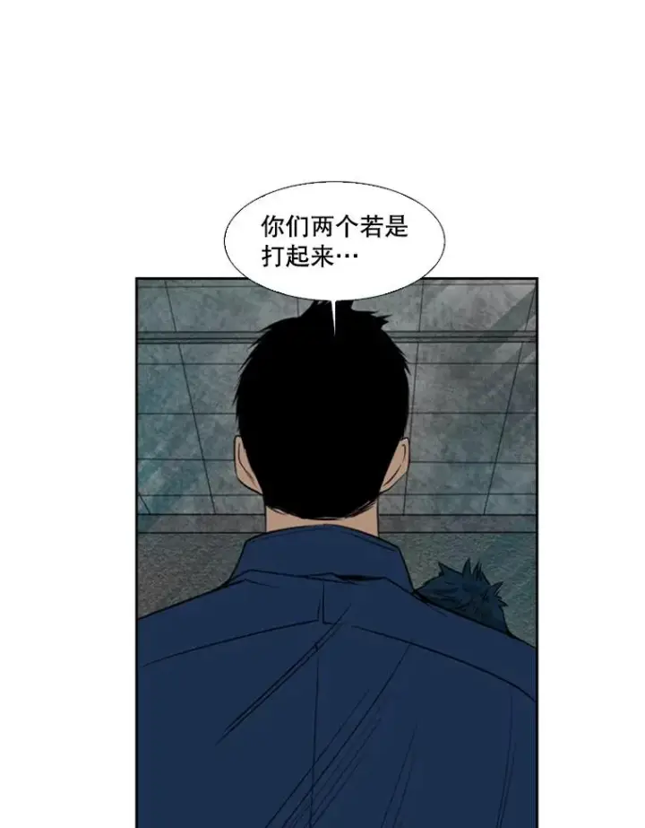 《鲨鱼》121.迎接比赛图26