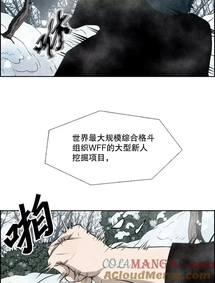 《鲨鱼》121.迎接比赛图5