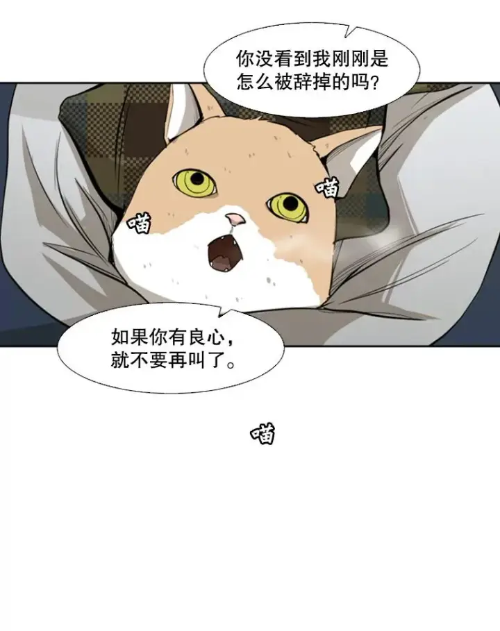《鲨鱼》121.迎接比赛图95