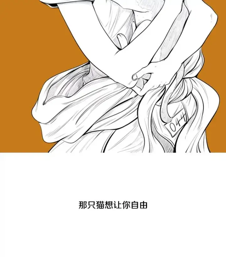 《鲨鱼》124.外传3.那只猫想让你自由图4