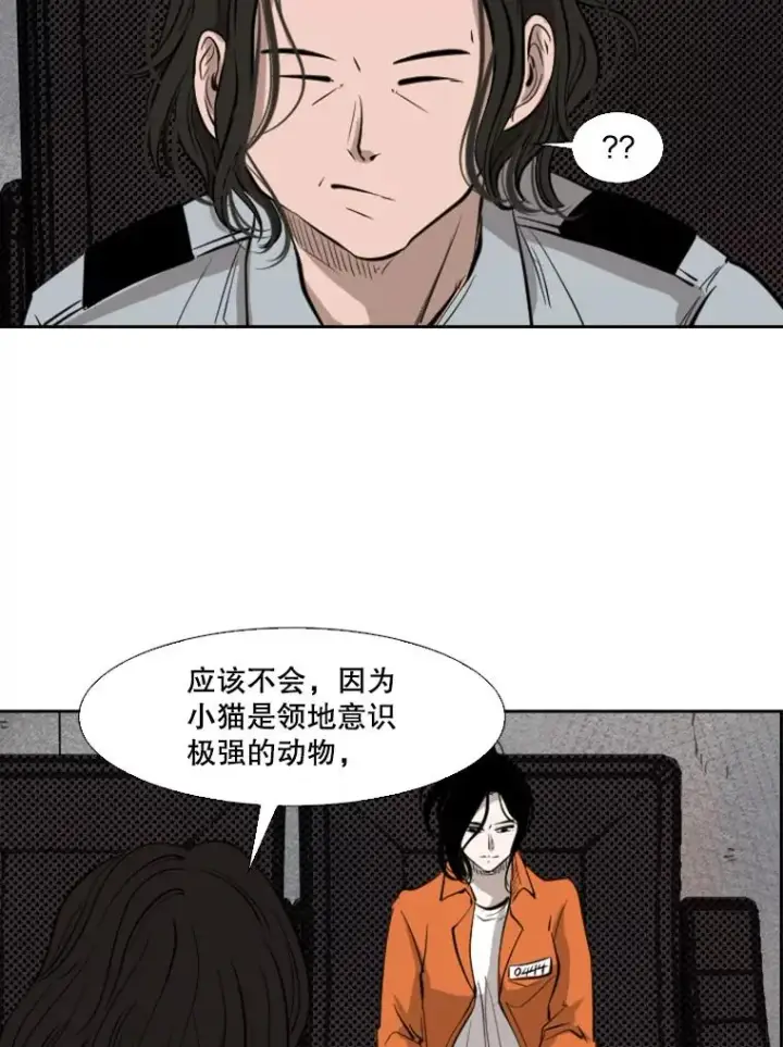 《鲨鱼》124.外传3.那只猫想让你自由图70