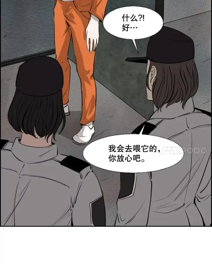 《鲨鱼》124.外传3.那只猫想让你自由图8