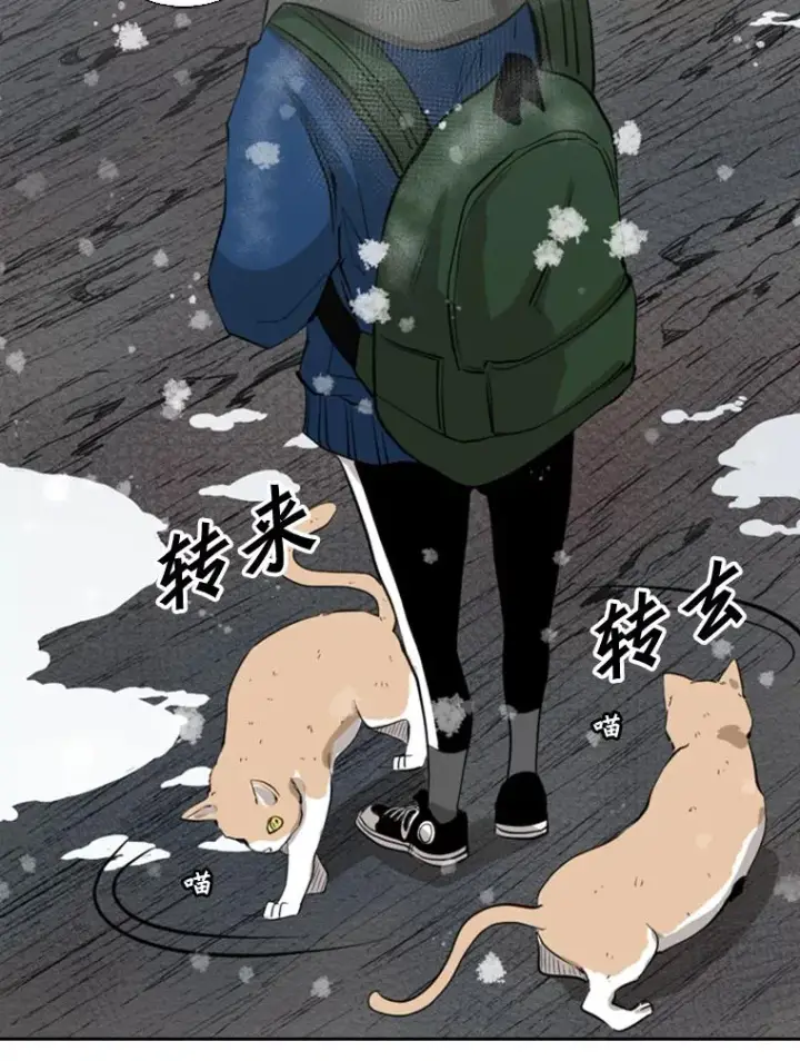 《鲨鱼》124.外传3.那只猫想让你自由图86