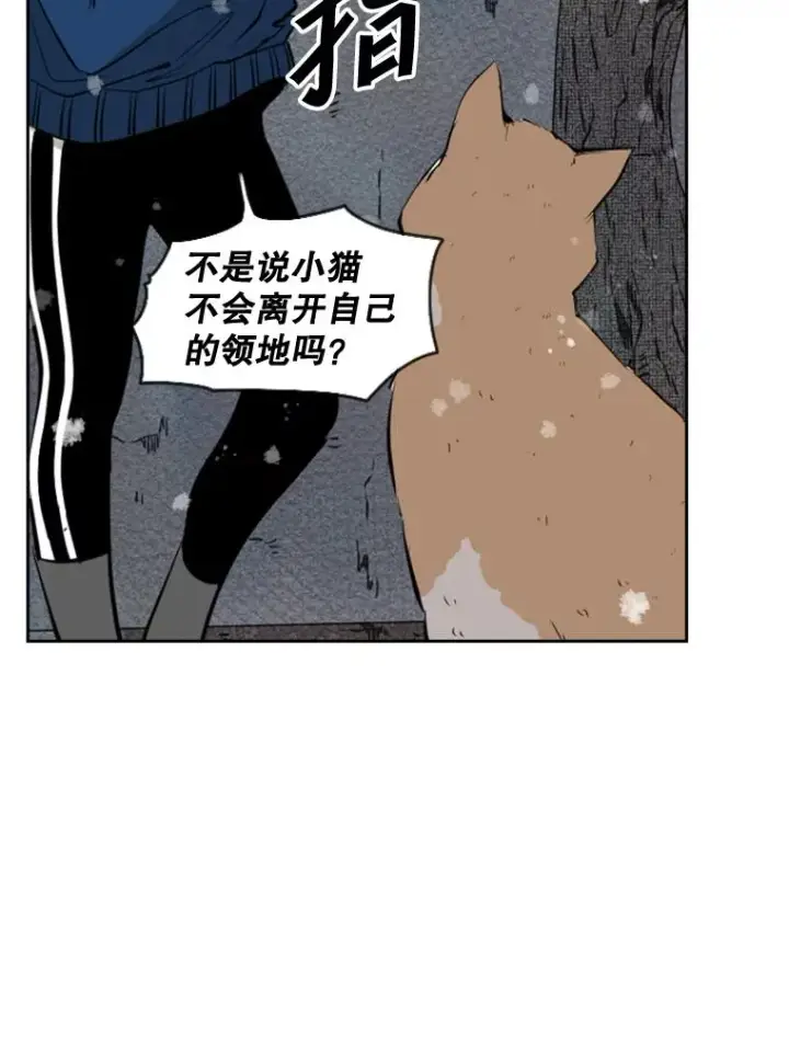 《鲨鱼》124.外传3.那只猫想让你自由图88