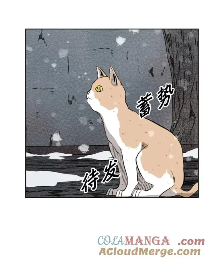 《鲨鱼》124.外传3.那只猫想让你自由图89