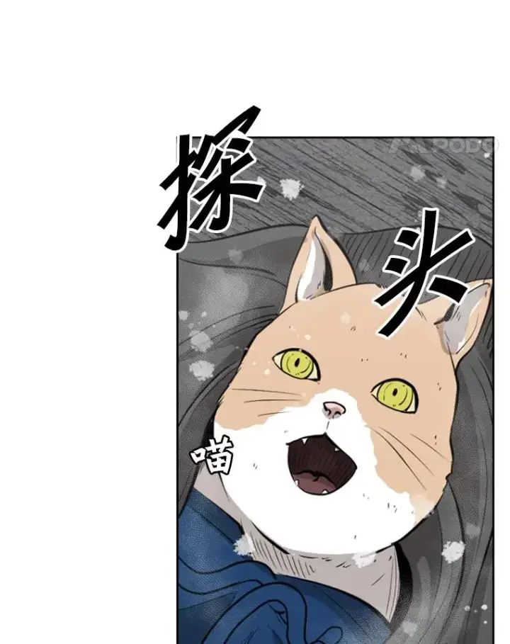 《鲨鱼》124.外传3.那只猫想让你自由图94