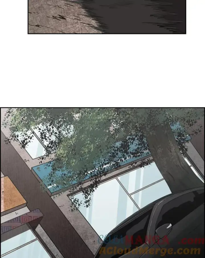 《鲨鱼》127.报名图109