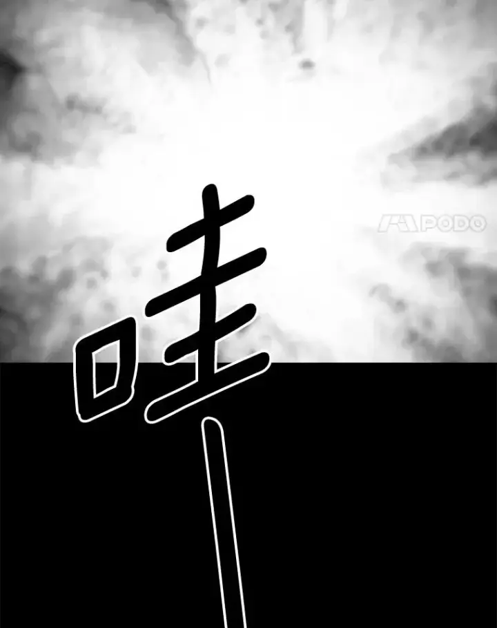 《鲨鱼》127.报名图4