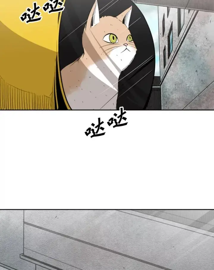 《鲨鱼》127.报名图47